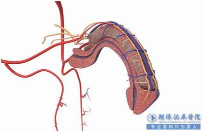 马鞍山男科医院 是什么让年纪轻轻的他无法勃起？